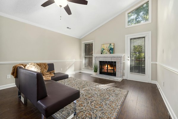 Desinsectisation dans le haut-rhin : solutions naturelles et efficaces contre les nuisibles