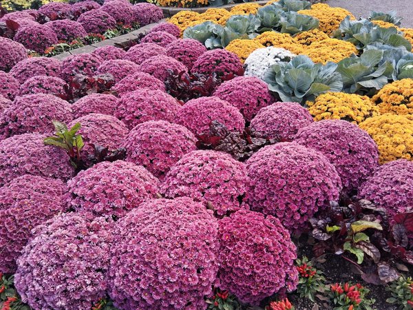 Duel d'Isolation : Intérieure ou Extérieure Quelle est la Meilleure Option ?